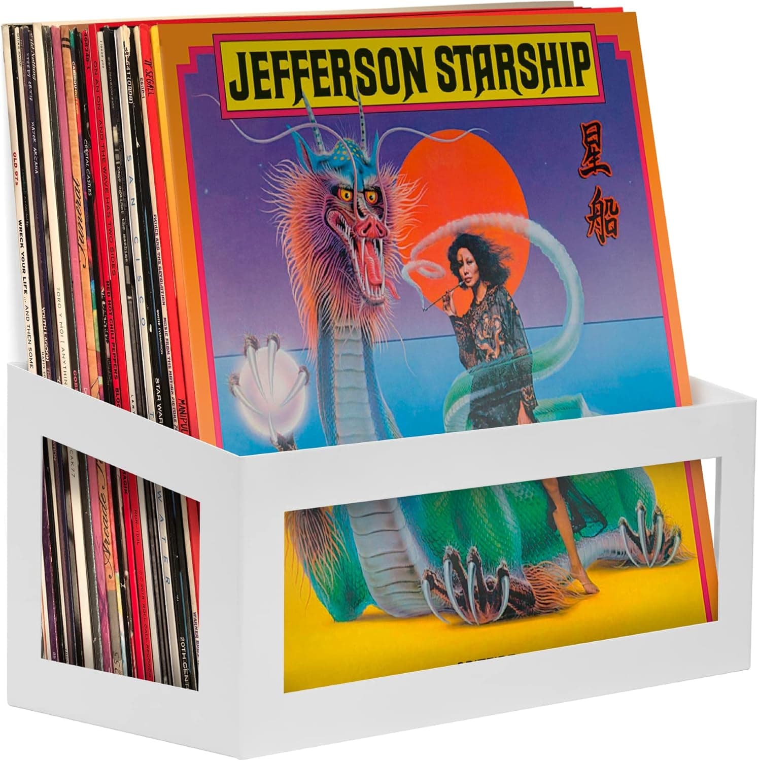 Hudson Hi-Fi Vinyl Display Holder, Steel Wall Mount LP Display, Fits 25 LPs