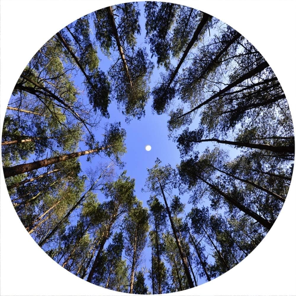 Slipmat Scratch Pad Felt for 12" LP DJ Vinyl Turntable - Trees 1
