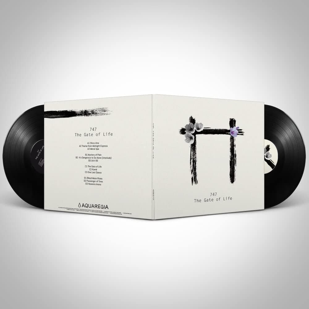 Gatefold Vinyl Records Outer Sleeves 12 inch Double Sided 3 Mil Poly Clear (25 Pack)